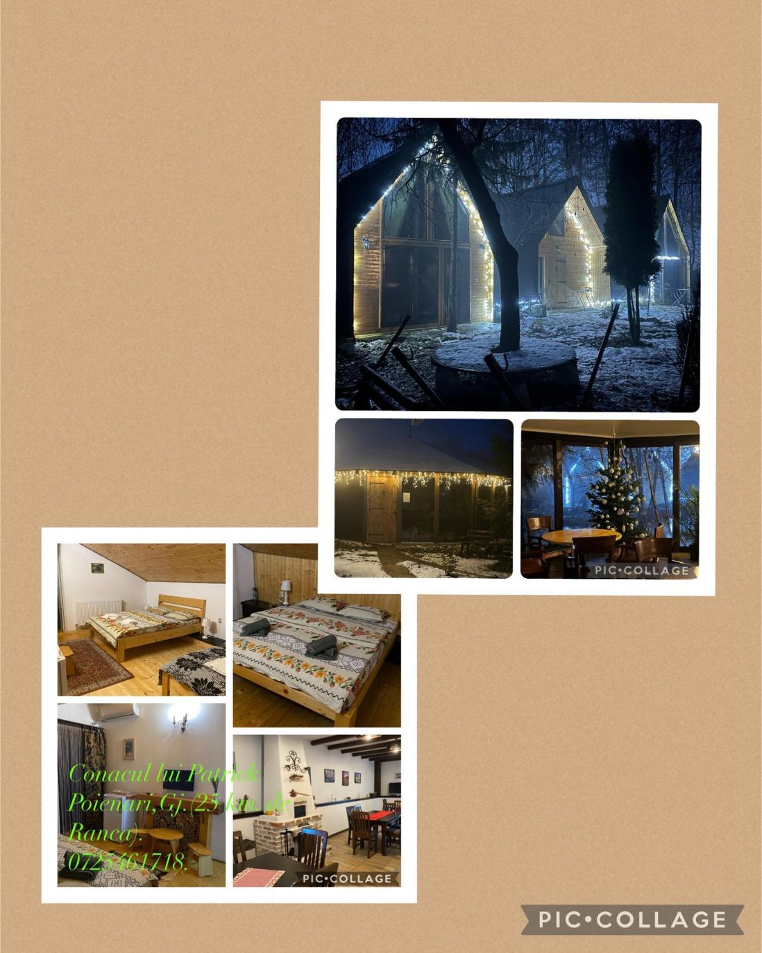 Conacul Lui Patrick Hotel Poenari Екстериор снимка