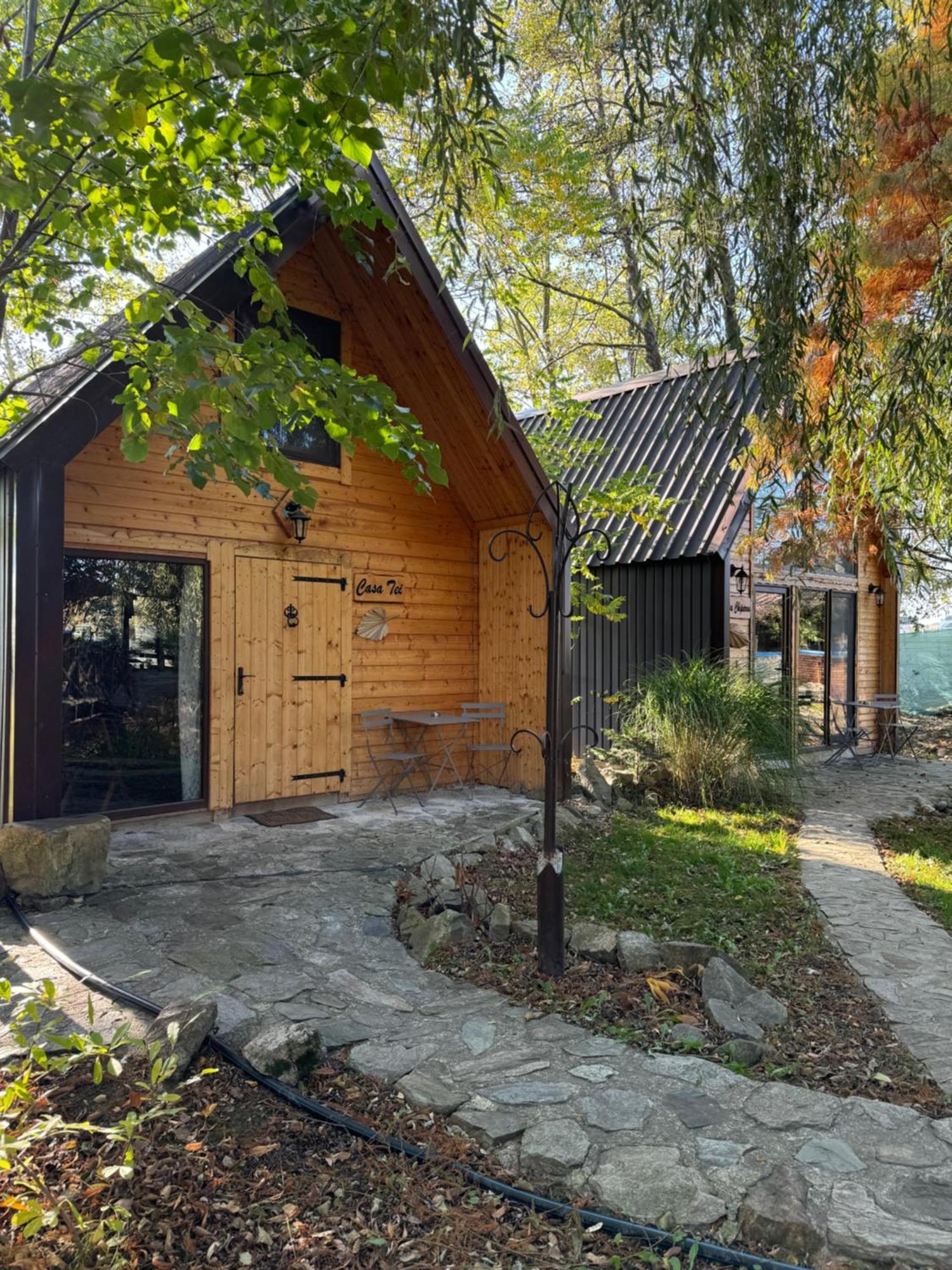 Conacul Lui Patrick Hotel Poenari Екстериор снимка