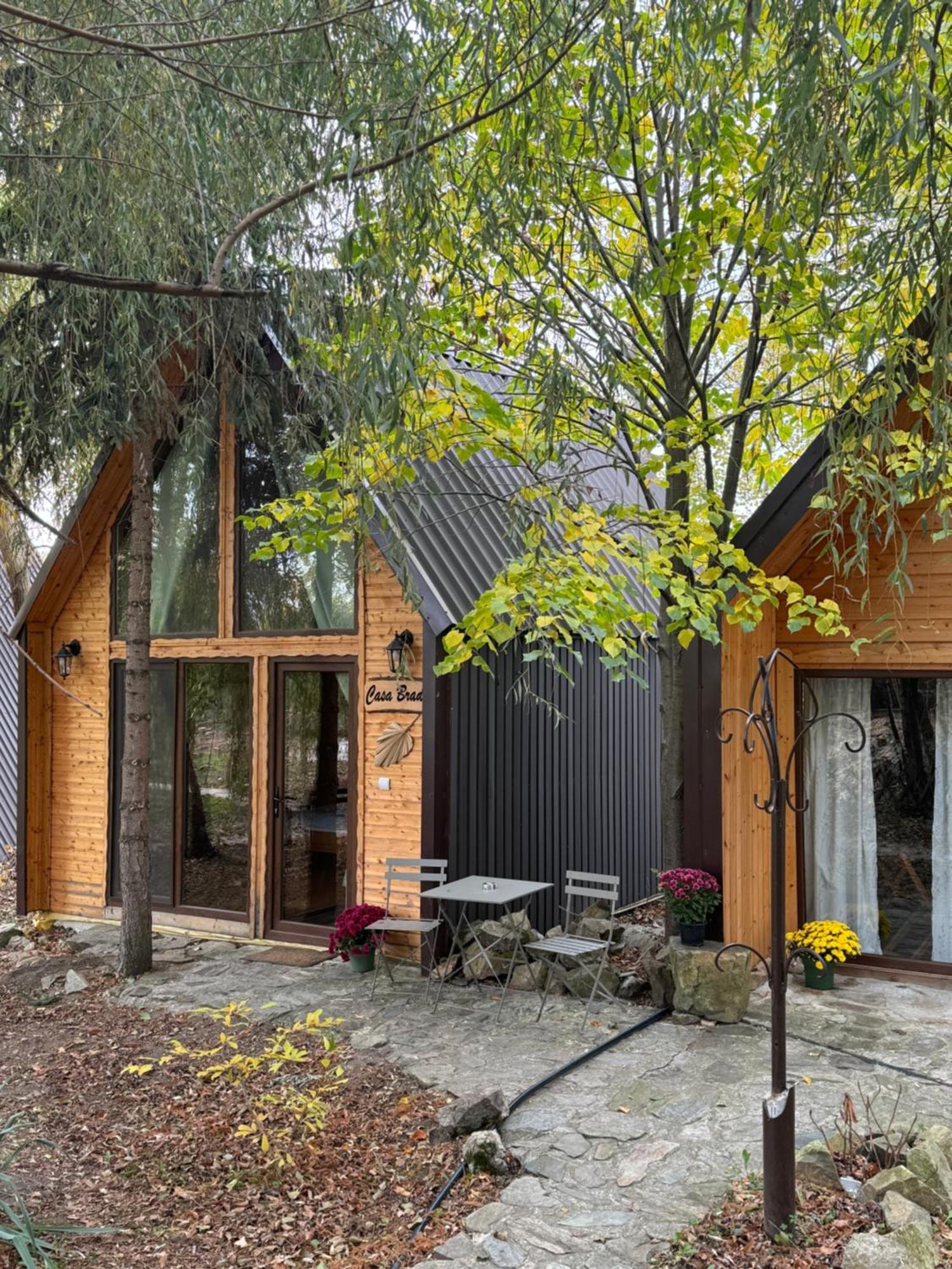 Conacul Lui Patrick Hotel Poenari Екстериор снимка